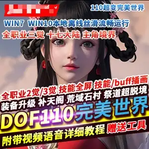 网单 DOF单机版 110级超变 完美世界17大陆装备升级 全屏技能无CD  网游单机