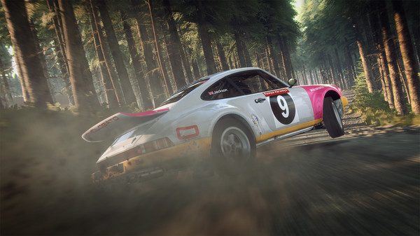 尘埃拉力赛2.0 | DiRT Rally 2.0-2