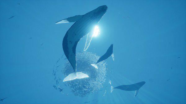 ABZU-2