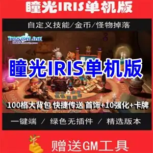 网游单机 瞳光IRIS单机版一键端 瞳光网单游戏 100格大背包GM工具